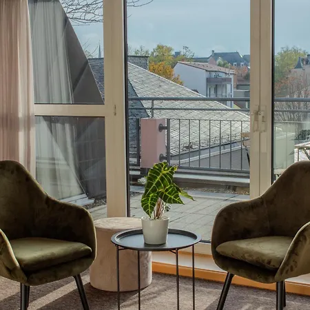 Penthouse-maisonette - Center, Highspeed Internet, Garage 公寓 沃尔姆斯