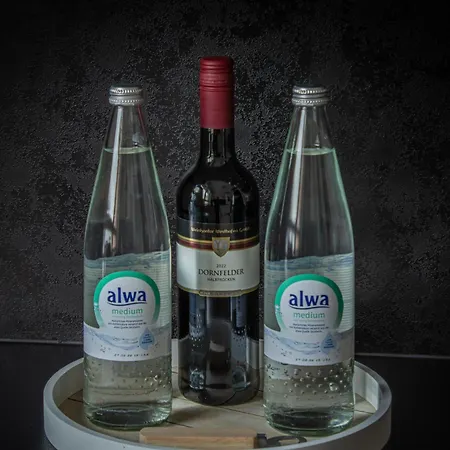 Penthouse-maisonette - Center, Highspeed Internet, Garage 公寓 沃尔姆斯